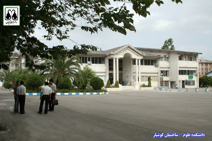تصویر کوچک