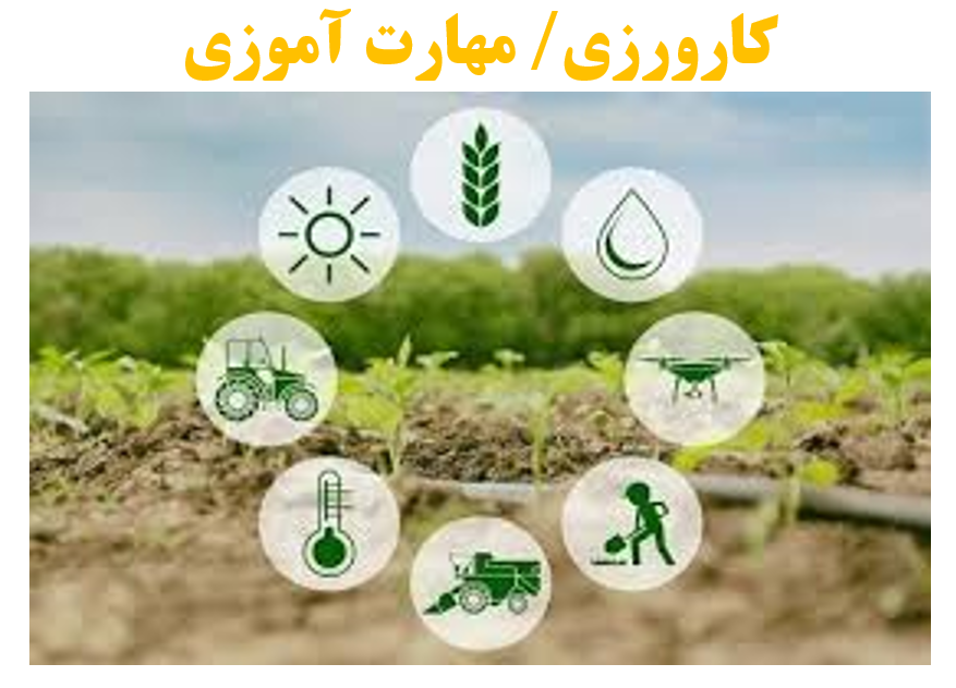 صورة مصغّرة