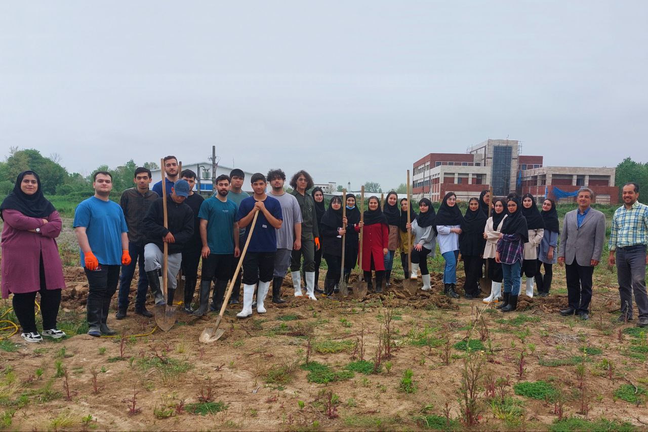 صورة مصغّرة