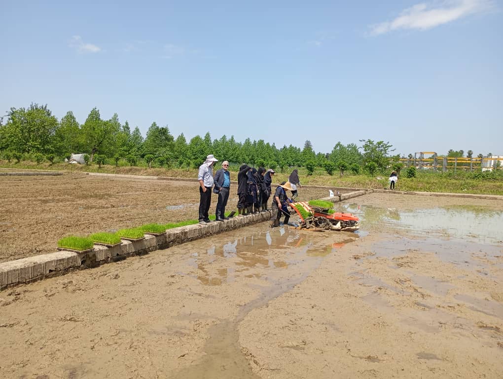 صورة مصغّرة