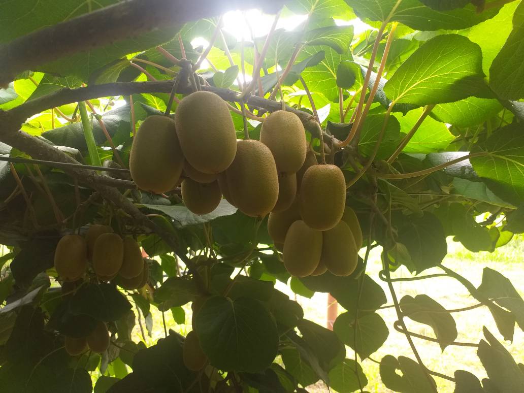 تصویر کوچک